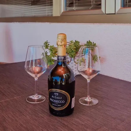 Apartment Roko - Up To 4 People With Free Parking Zadar Buitenkant foto